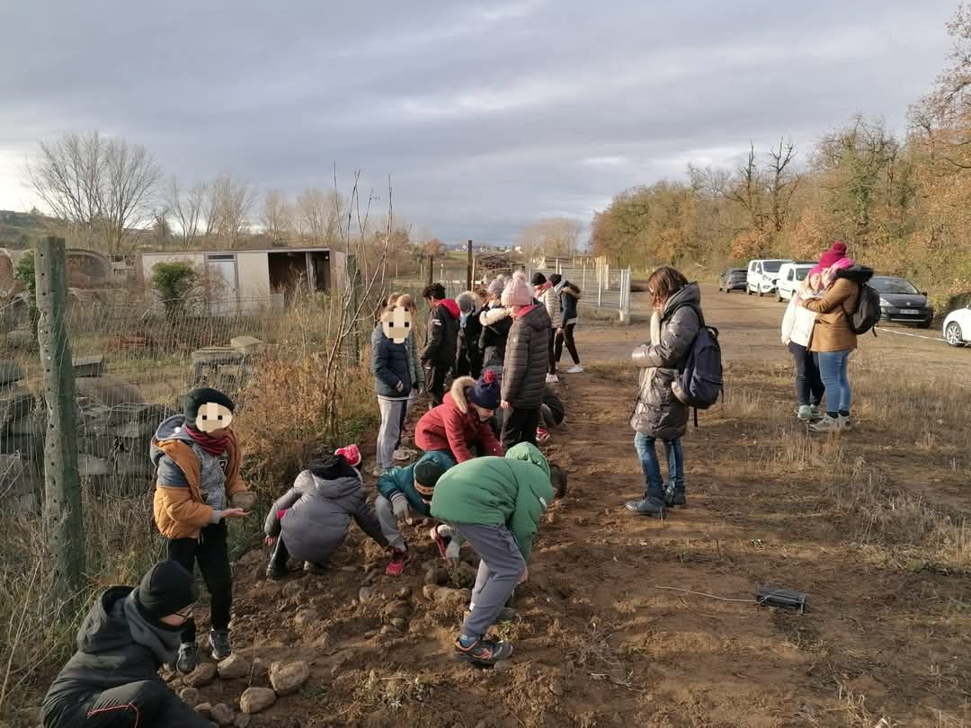 plantation arbustes avec ACCA Saint-Cyr